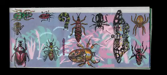 Superposition - Calque Insectes