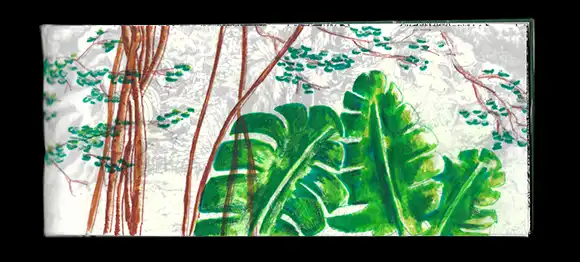 Feuilles sur Calques