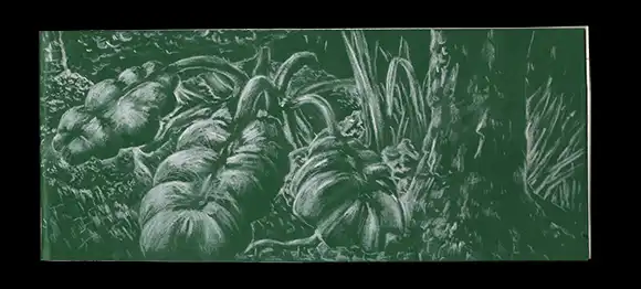 Parterre de serre - Crayon blanc